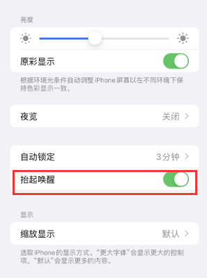 周口苹果授权维修站分享iPhone轻点无法唤醒怎么办