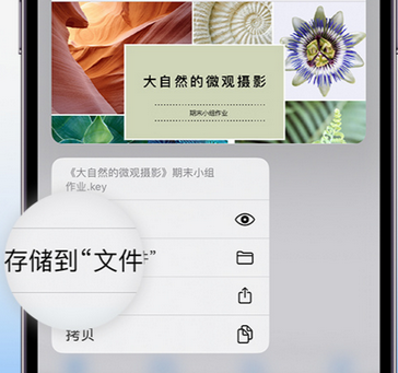 周口apple维修中心分享iPhone文件应用中存储和找到下载文件