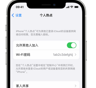 周口apple服务站点分享iPhone上个人热点丢失了怎么办