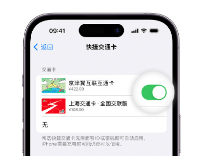 周口apple维修点分享iPhone上更换Apple Pay快捷交通卡手绘卡面 