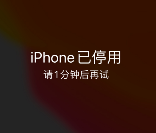 周口苹果手机维修分享:iPhone 显示“不可用”或“已停用”怎么办？还能保留数据吗？ 