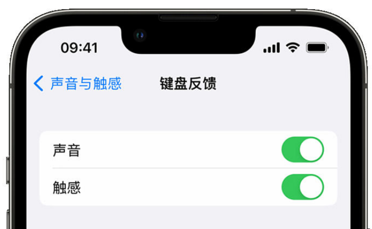 周口苹果手机维修分享iPhone 14触感键盘使用方法 