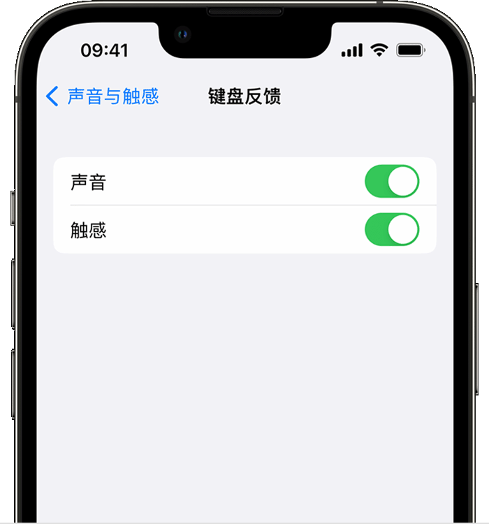 周口苹果14维修店分享如何在 iPhone 14 机型中使用触感键盘 