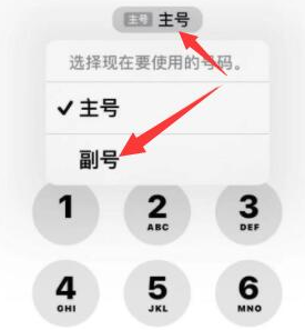 周口苹果14维修店分享iPhone 14 Pro Max使用副卡打电话的方法 