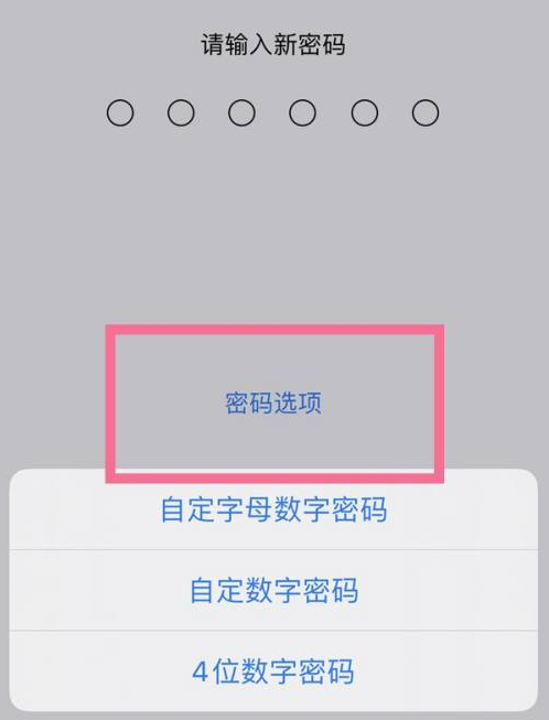 周口苹果14维修分享iPhone 14plus设置密码的方法 