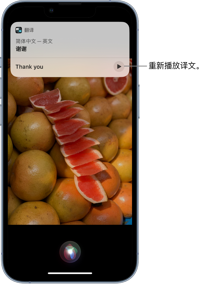 周口苹果14维修分享 iPhone 14 机型中使用 Siri：了解 Siri 能帮你做什么 