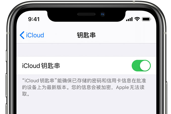 周口苹果手机维修分享在 iPhone 上开启 iCloud 钥匙串之后会储存哪些信息 