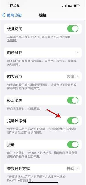 周口苹果手机维修分享iPhone手机如何设置摇一摇删除文字 