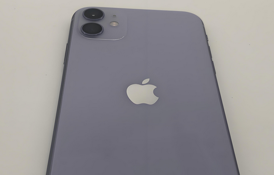 周口苹果11系统维修分享iPhone11手机系统崩溃无法开机如何解决 